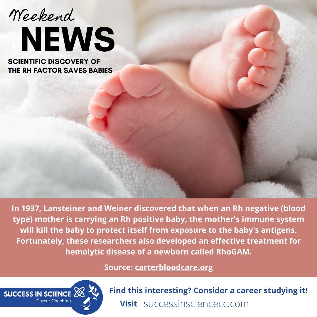 cassie_sscc's tweet image. Given that I am Rh negative, I was concerned about this when I was pregnant with my son. Fortunately, he was also Rh negative, but I'm grateful for the existence of RhoGAM should he have been positive!

#Rhfactor #bloodtypes #pregnancy #medicine #miscarriage #sciencesaves