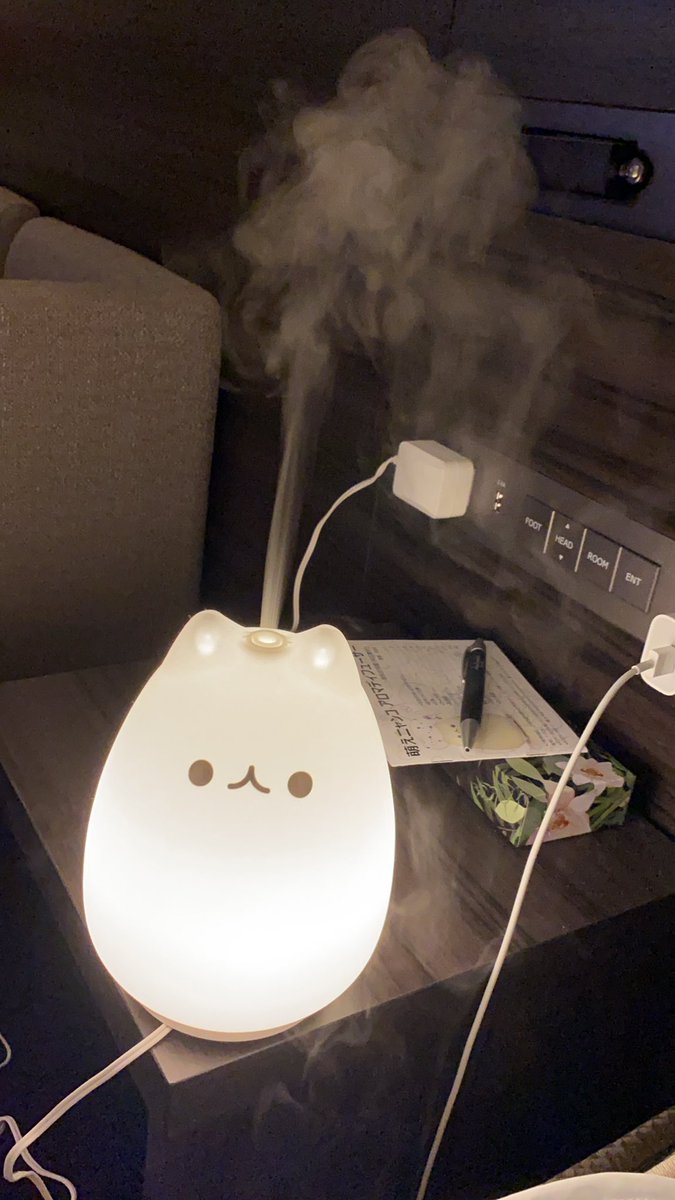 Can a diffuser burn out?🙄😂 coz this is the most entertaining thing about my quarantine... #lol #procrastination