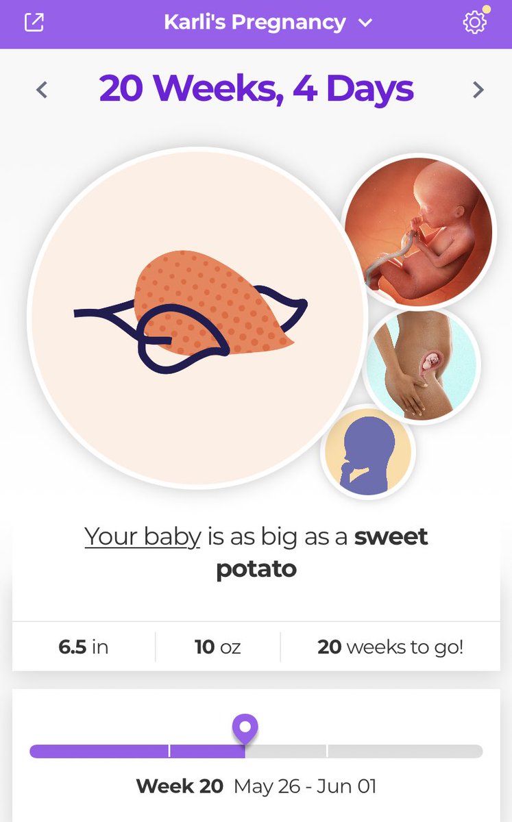 KLballer31's tweet photo. Can’t believe we are half way to meeting our little cowboy 🥰💕 https://t.co/Djf46YfQc1