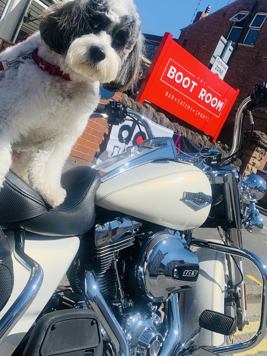 Fletcher’s new toy !!!! Free sodas for all ⁦<a href="/harleydavidson/">Harley-Davidson</a>⁩ riders !!!