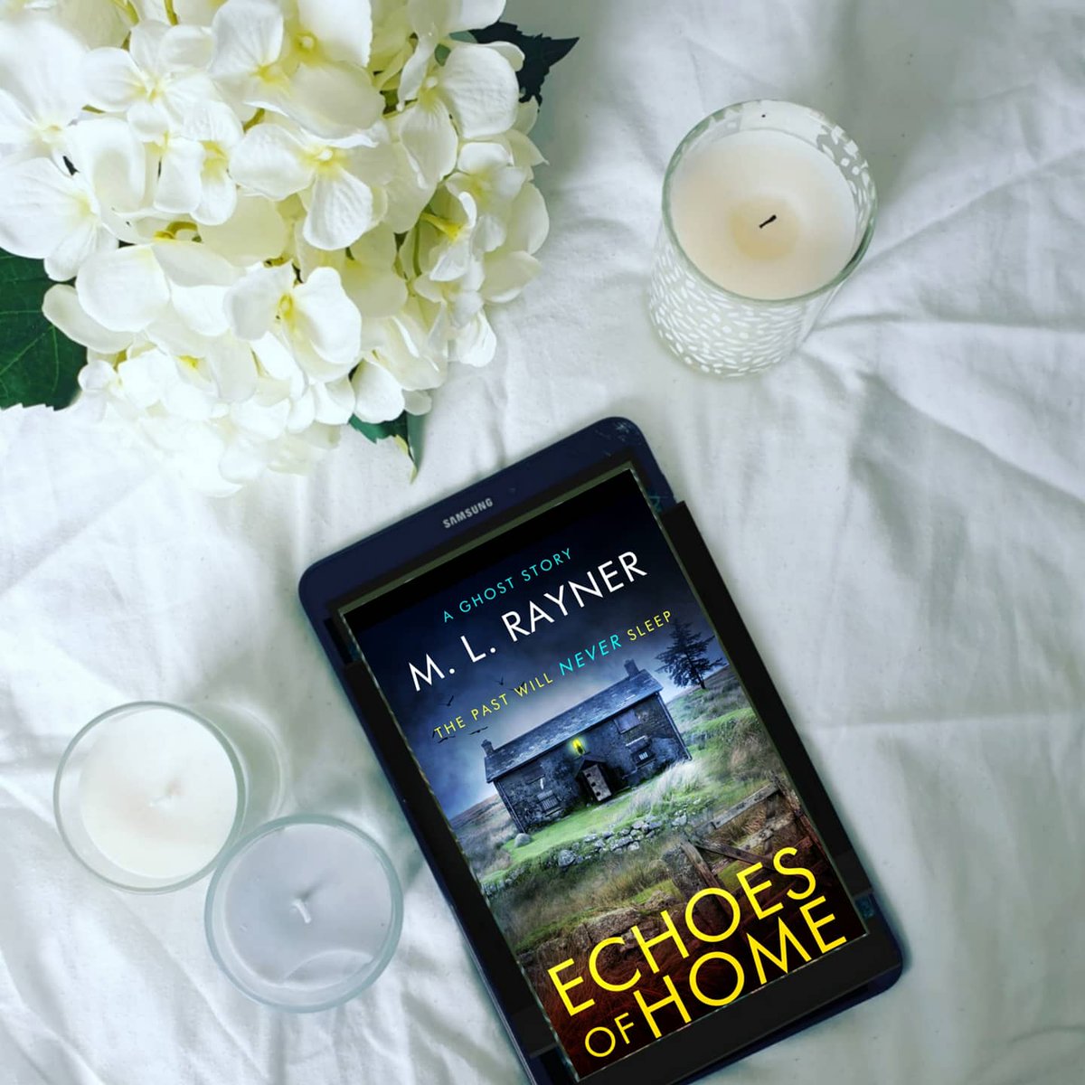 Shh_readsbooks tweet media