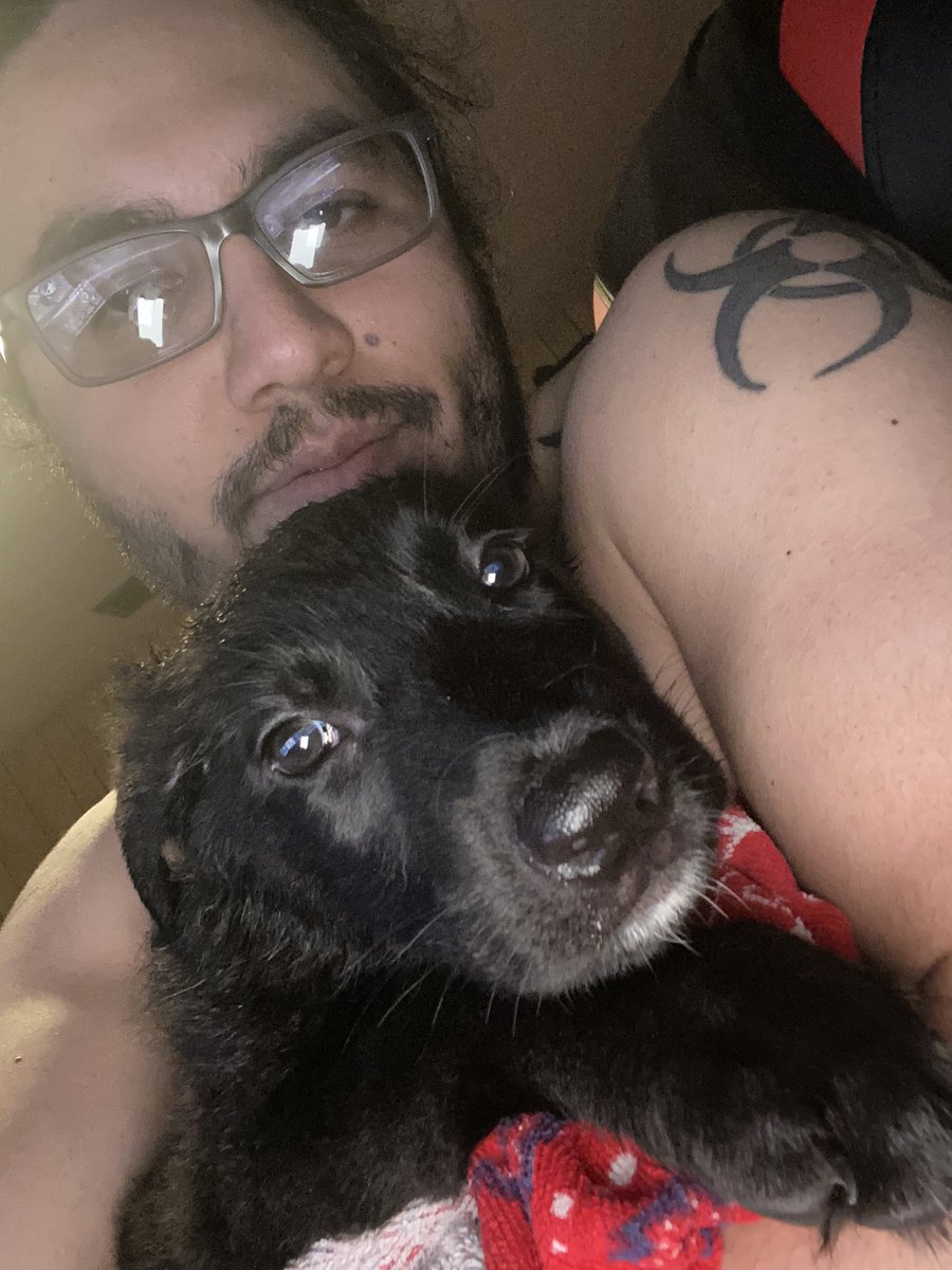 IMayBeReckless's tweet photo. So Thanks To @SpiteFireH20 , He Drove Me 3 Hours To Pick Up Aries. He Got His First Bath, And The Pillow Has Now Become His Enemy. https://t.co/lFGEemZyZF