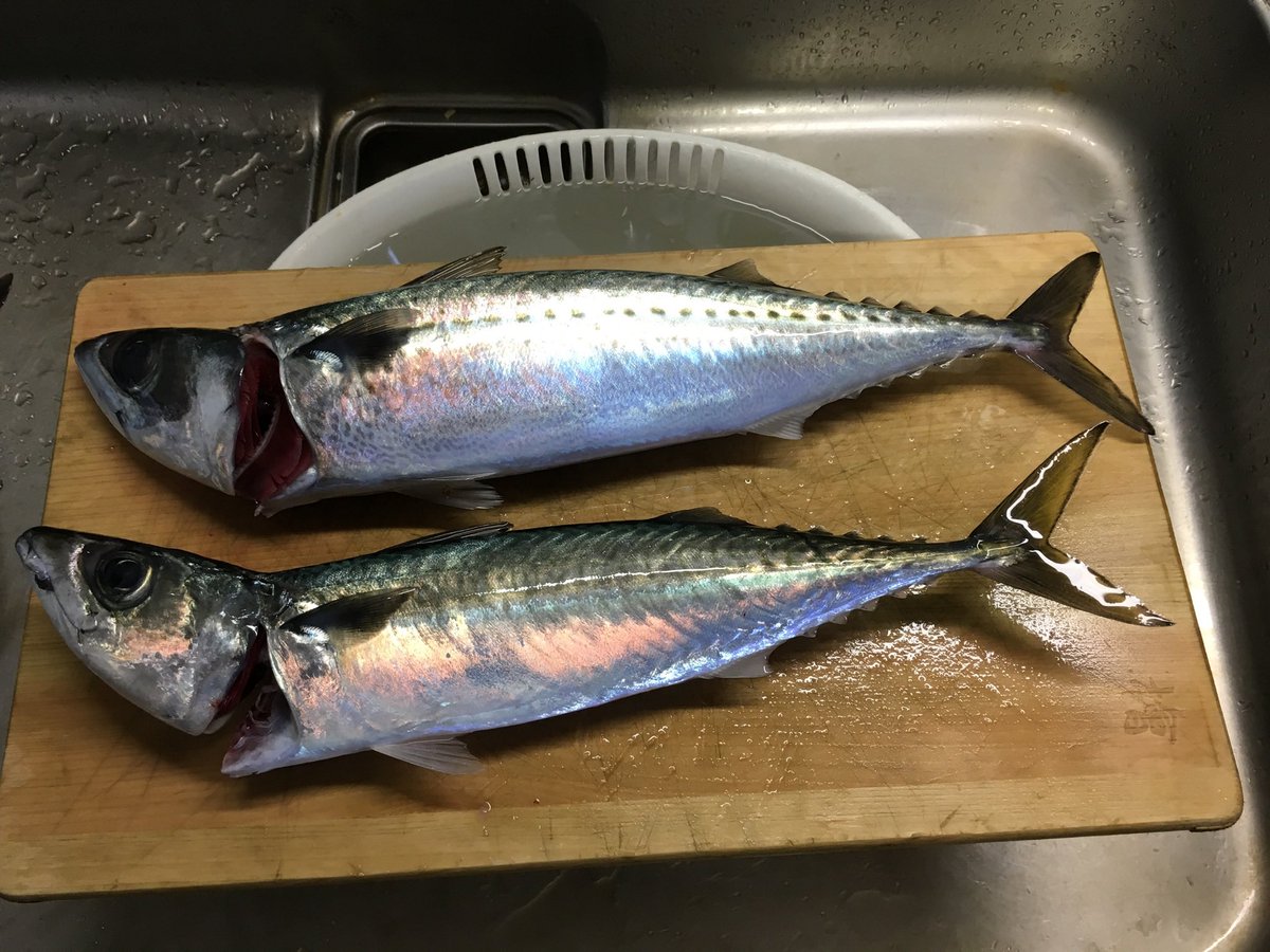 みんなの プレジャー 刺身 口コミ 評判 食べたいランチ 夜ごはんがきっと見つかる ナウティスイーツ みんなの プレジャー 刺身 口コミ 評判 食べたいランチ 夜ごはんがきっと見つかる ナウティスイーツ