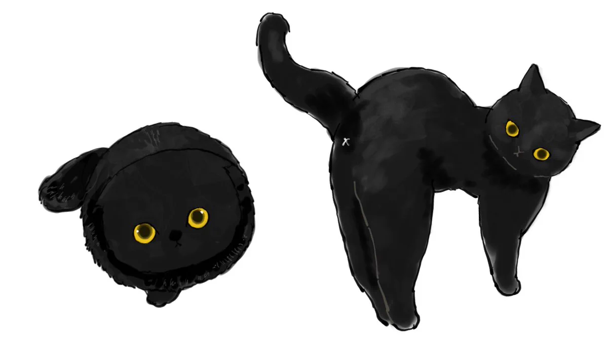 にゃんちっち 黒猫 E2o7luNVgAIYIr5?format=webp&