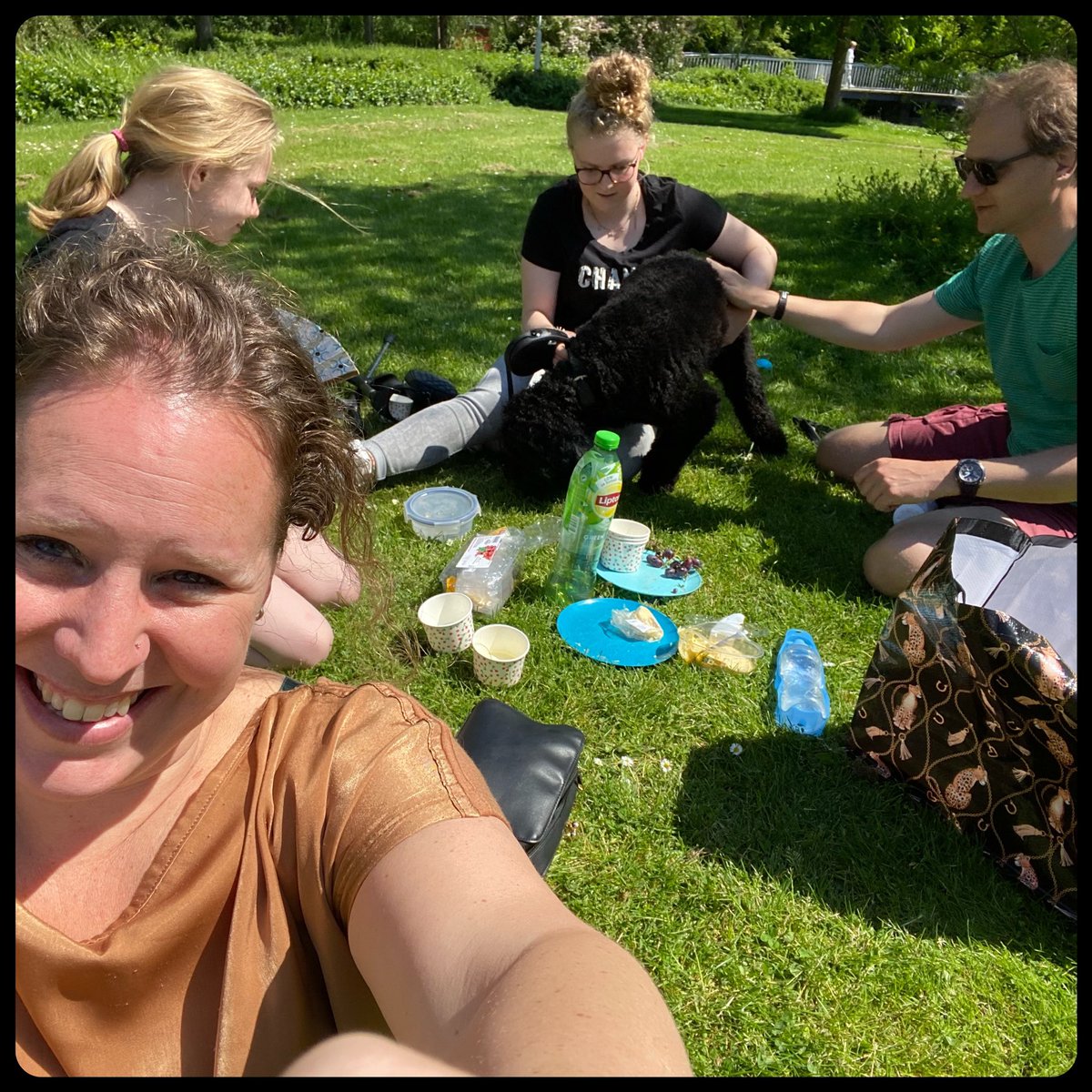 MonirahSchep's tweet photo. Niet de achtertuin. Wel een vertrouwde plaats. #picknick #stadspark #Gorinchem https://t.co/8YxqoATxHL
