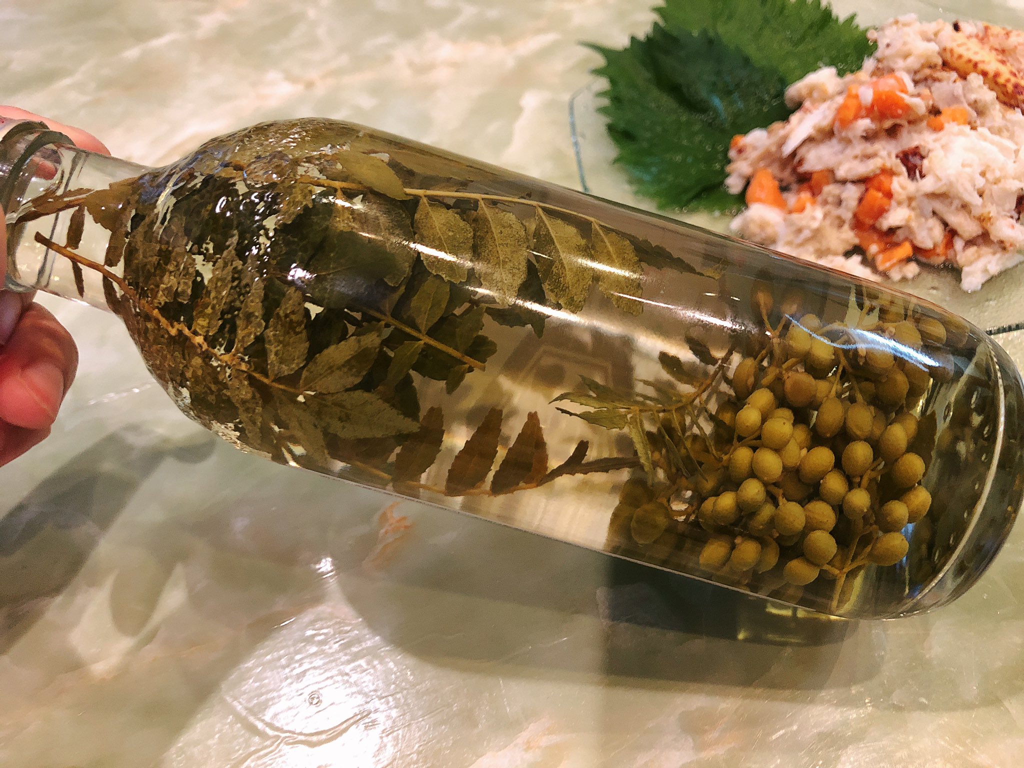 魔女っこれい 自家製山椒サワー なんて なんて美味しいんだろう 綺麗で美味しい素晴らしい飲み物 茹でた山椒の実 摘みたての山椒 の葉を2 3日漬けた山椒キンミヤ焼酎をソーダで割って摘みたての山椒の葉を一枚浮かべた ぴりっと辛くて爽やか 二日酔い