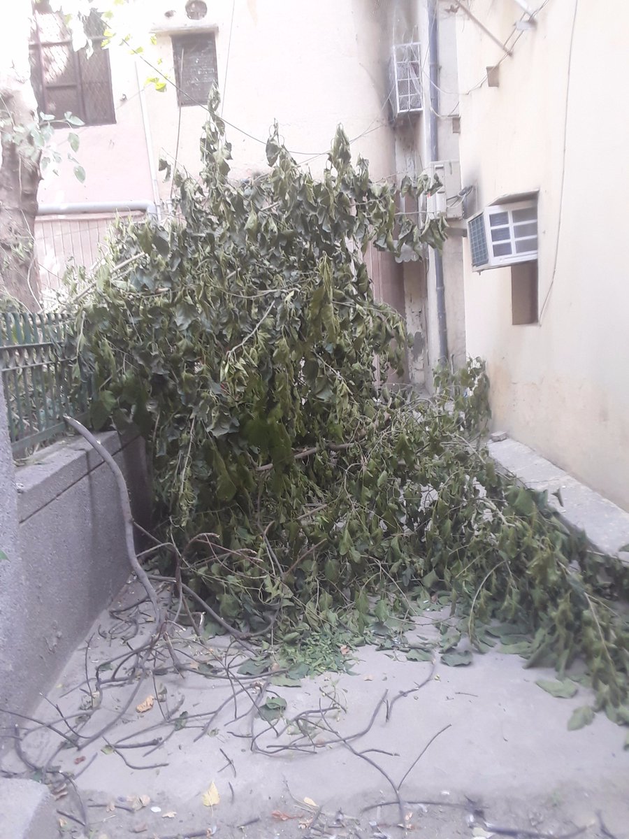 DeepaliAggarwa's tweet photo. @ArvindKejriwal 
A majorpart of a tree within a small public park having located at pkt. -B-6,Sector-4, DDA Complex, Rohini, Delhi-85 has been cutted illegally which can be verified even at this moment also. It ispertinent to mention there is a CCTV also  footage can be checked https://t.co/OrQrWOIgnE