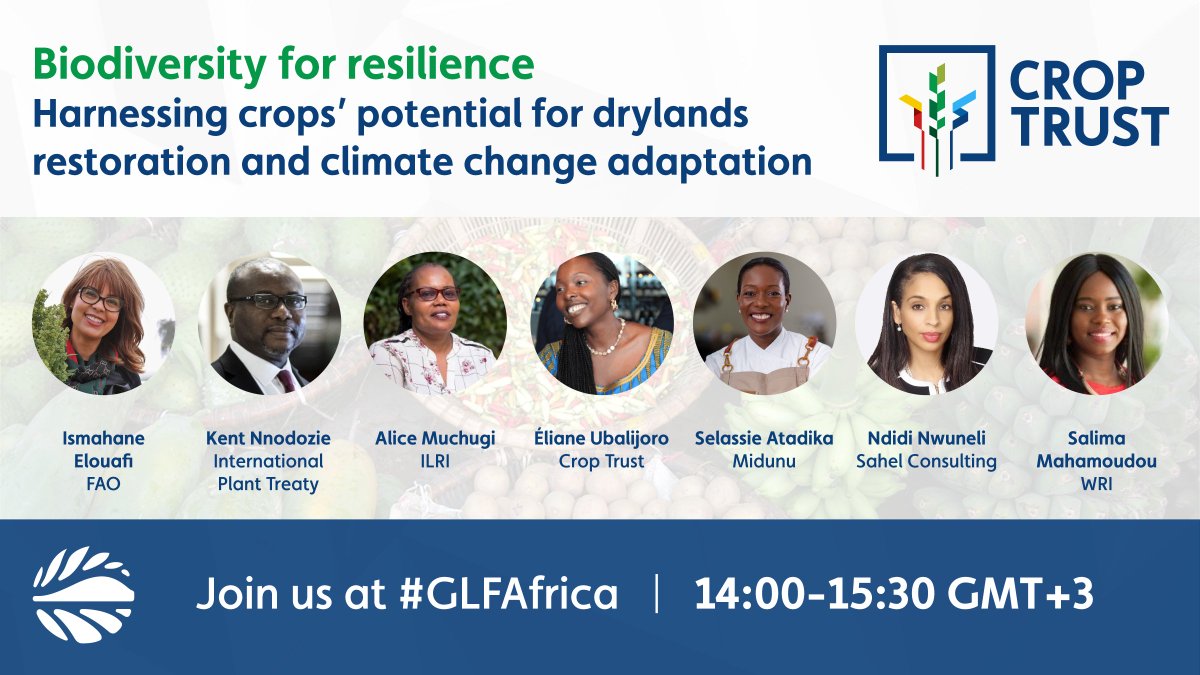 The Crop Trust (@croptrust) on Twitter photo At #GLFAfrica, join the <a href="/CropTrust/">The Crop Trust</a> to explore the power of crop diversity through two lenses:
🔬 The scientific lens
🍲 The gastronomic lens
Register now for <a href="/GlobalLF/">Global Landscapes Forum (GLF)</a> to participate 👉 buff.ly/3g3CijF
<a href="/FAO/">Food and Agriculture Organization</a> <a href="/ILRI/">ILRI.org</a> <a href="/WorldResources/">World Resources Institute</a> <a href="/MidunuGhana/">Midunu</a> <a href="/sahelconsulting/">Sahel Consulting</a> At #GLFAfrica, join the <a href="/CropTrust/">The Crop Trust</a> to explore the power of crop diversity through two lenses:
🔬 The scientific lens
🍲 The gastronomic lens
Register now for <a href="/GlobalLF/">Global Landscapes Forum (GLF)</a> to participate 👉 buff.ly/3g3CijF
<a href="/FAO/">Food and Agriculture Organization</a> <a href="/ILRI/">ILRI.org</a> <a href="/WorldResources/">World Resources Institute</a> <a href="/MidunuGhana/">Midunu</a> <a href="/sahelconsulting/">Sahel Consulting</a>