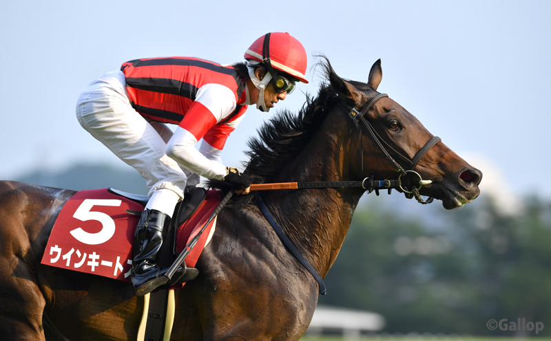 週刊gallop 東京12r 目黒記念は8番人気ウインキートスが優勝 2番手でレースを進め 上り3f32 5で快勝 母は07年クイーンc勝ちのイクスキューズ ウインキートス 目黒記念 週刊gallop 週刊gallop 東京12r 目黒記念は8番人気ウインキートスが優勝 2番手でレースを進め 上り3f32 5で快勝 母は07年クイーンc勝ちのイクスキューズ ウインキートス 目黒記念 週刊gallop