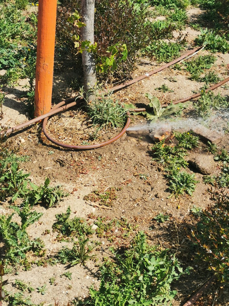 hondarzali's tweet photo. @MADRID se ha roto un tubo del riego en esta zona de El Cañaveral https://t.co/rq1NlhmXc4