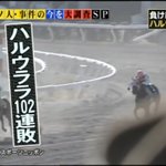 当たらないという理由から？ハルウララの馬券が交通安全のお守りとして使われていた!