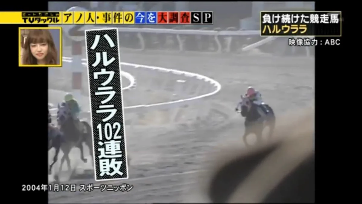 当たらないという理由から？ハルウララの馬券が交通安全のお守りとして使われていたwww
