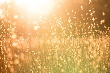 Bromak Recruitment tweet media