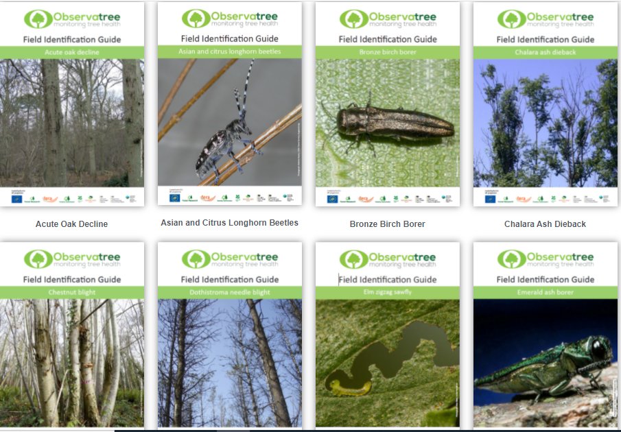 Invasive non-native pests and diseases pose a huge threat to native biodiversity. The ObservatreeCitizen Science Project aims to improve surveillance and detection using volunteers.  Check out these amazing field identification guides: ow.ly/Nwqi50EKQCX  #INNSweek
