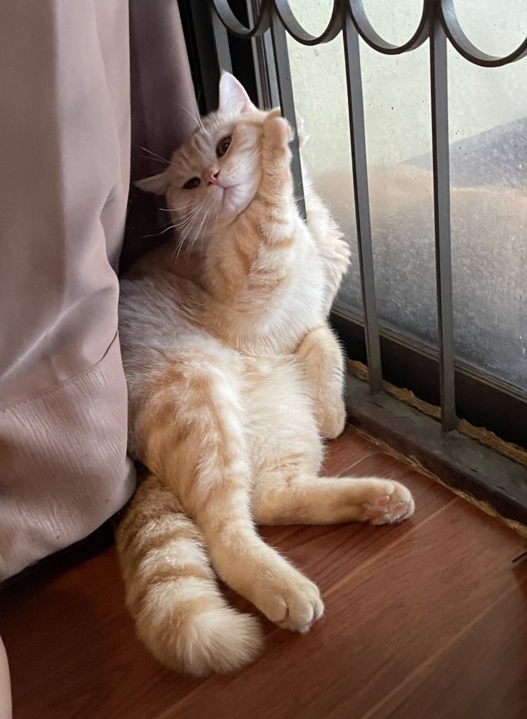 ผมก็ธรรมดานะ ไม่ได้วิเศษวิโสจากไหน