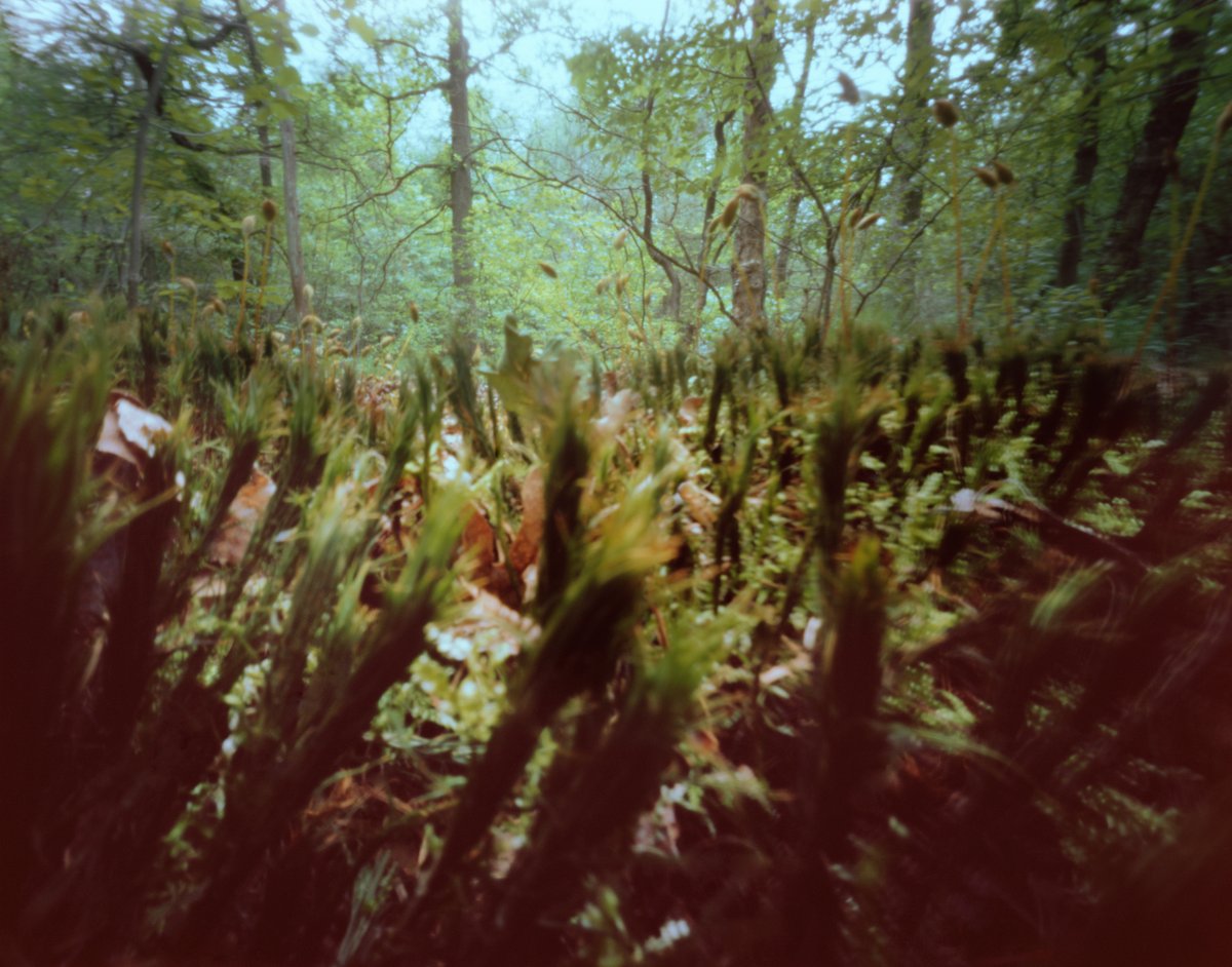 Corine Hörmann tweet media