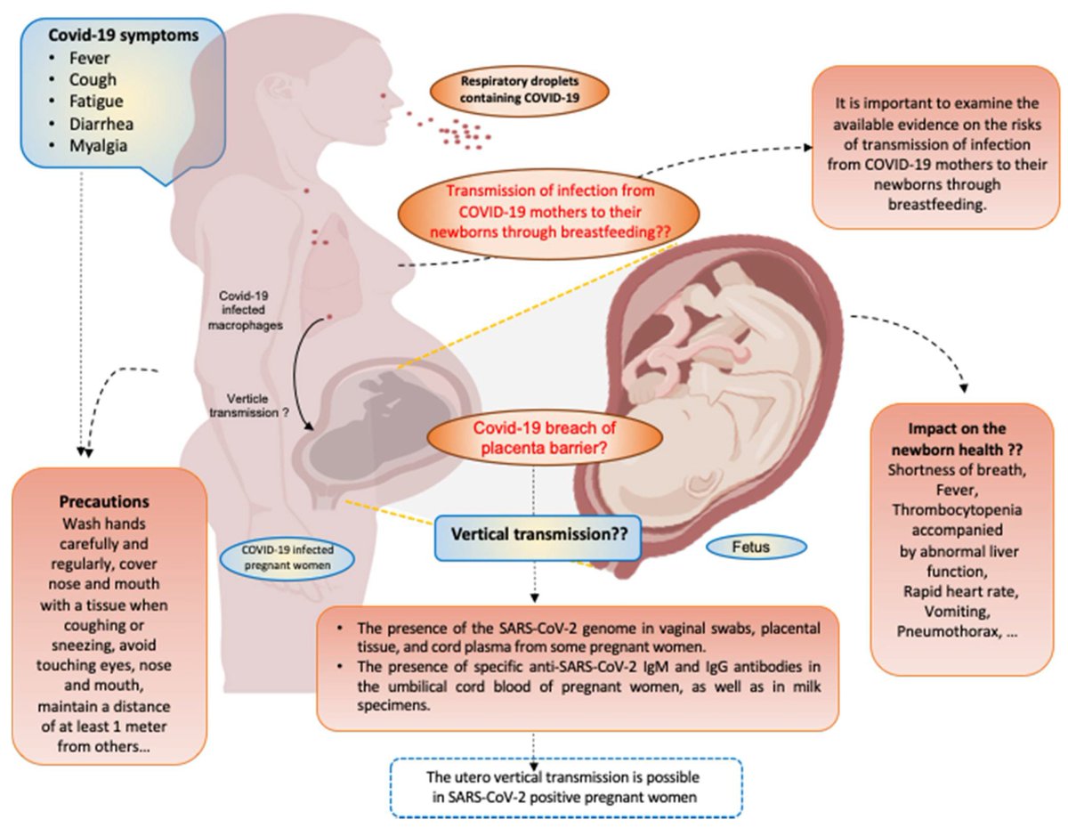 doctorneyro's tweet photo. Muy #buenasnoticias al llegar este último #felizLunes de #mayo2021.

Los #anticuerpos de la #madre son capaces de #atravesar la #placenta y proteger al #fetoendesarrollo

Tras pasar #CoVID19 durante el #embarazo.

https://t.co/a43BwddtrT https://t.co/fVrVS7R8Ld