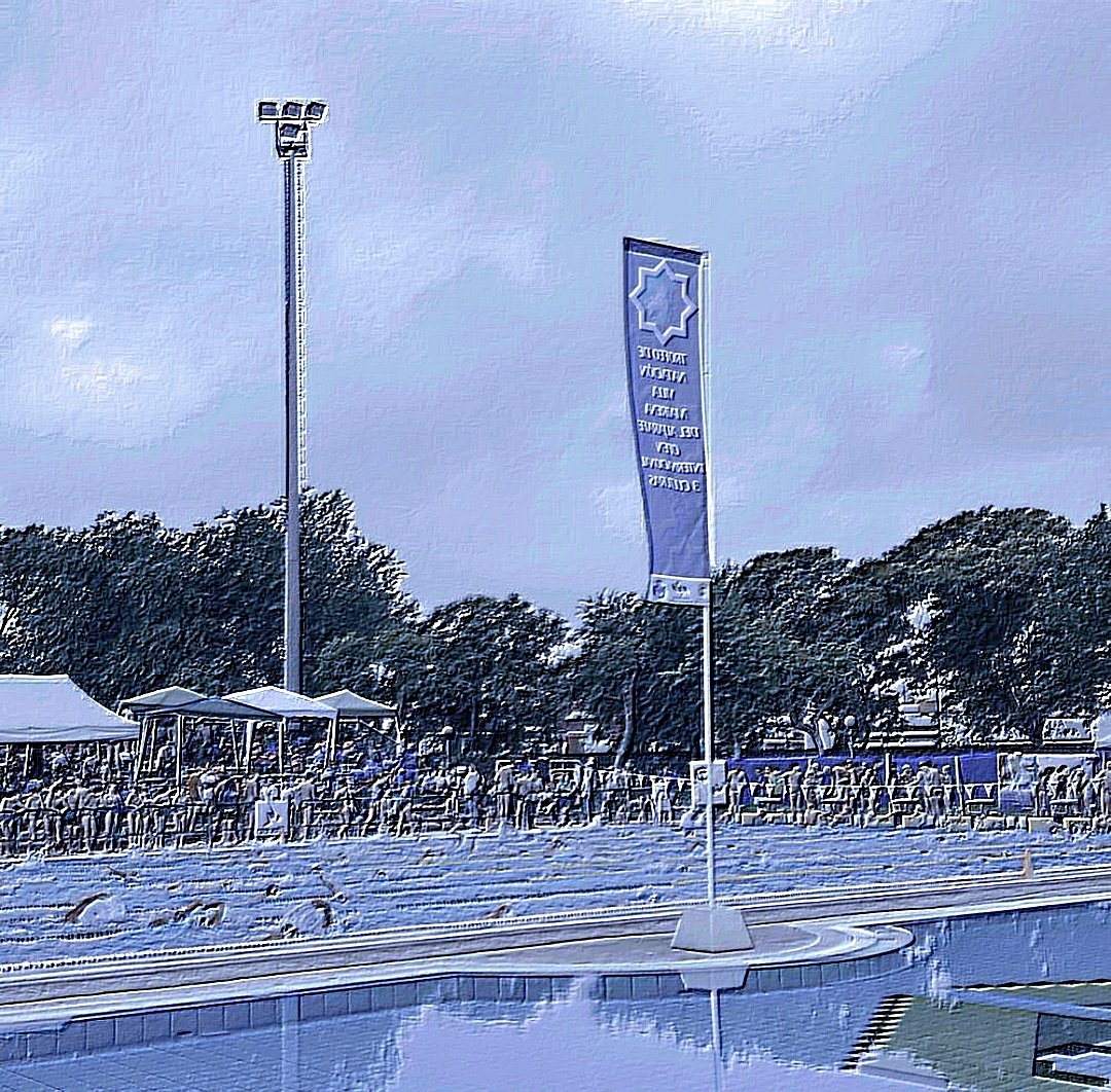 Hoy debería ser Domingo de #VillaDeMairena . O lo que es lo mismo, domingo de diversión, de competición, de compartir, de 3 culturas, de animar, de sentir y vivir, y en definitiva, de NATACIÓN. 

¡VOLVEREMOS!💚💛💙 🏊‍♀️

#VillaDeMairena #JuntosSomosMasFuertes
#Natación