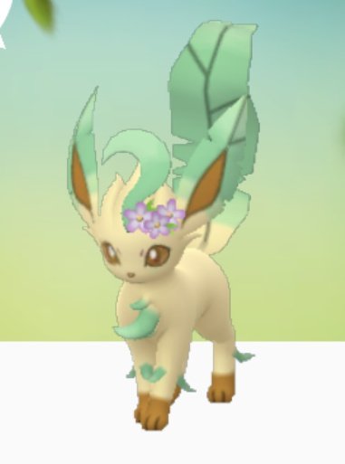 Tac ポケモン垢 花飾リーフィアかわいい ポケモンgo リーフィア 花飾り T Co Bwec8ltyy6 Twitter