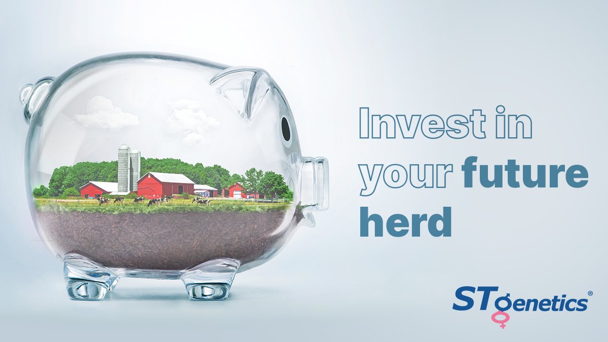 STgenetics's tweet photo. At STgenetics we offer a wide range of technologies to invest your hard-earned $$ and increase your farm profitability. An Integrated Approach, capable of providing effective genetic improvement of herds and bringing certainty, opportunity and profitability to the modern producer https://t.co/1M5eVDZ4rG