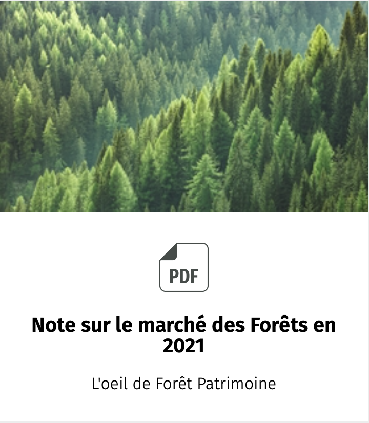 ForetPatrimoine's tweet photo. Forêt Patrimoine: Lettre d'information n°38 - https://t.co/8kqOh7Va4A https://t.co/RlNXd0OTUd