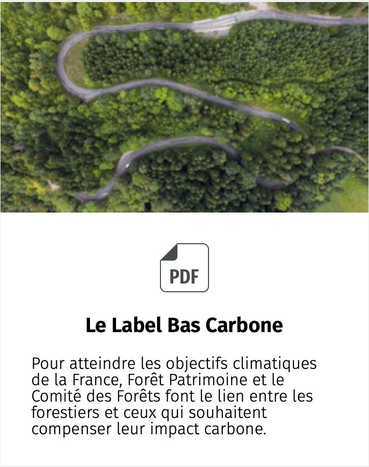 ForetPatrimoine's tweet photo. Forêt Patrimoine: Lettre d'information n°38 - https://t.co/8kqOh7Va4A https://t.co/RlNXd0OTUd