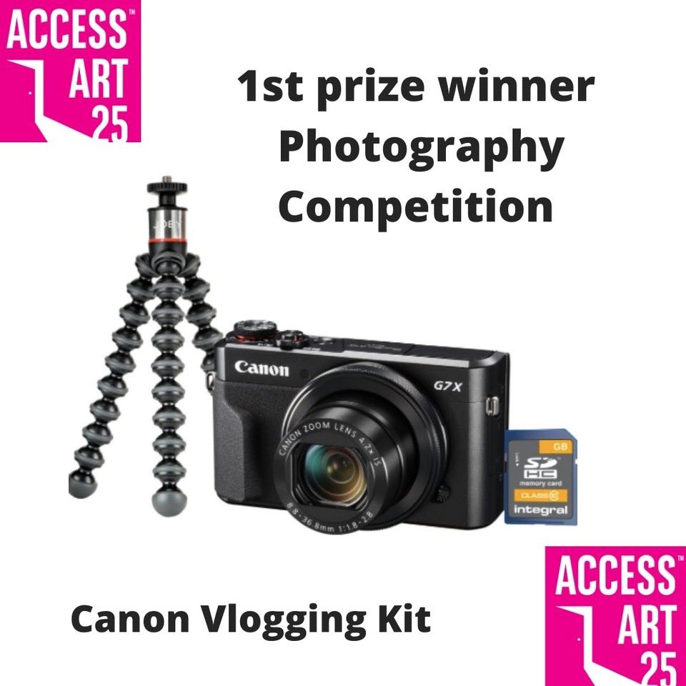 @accessart25 tweet media