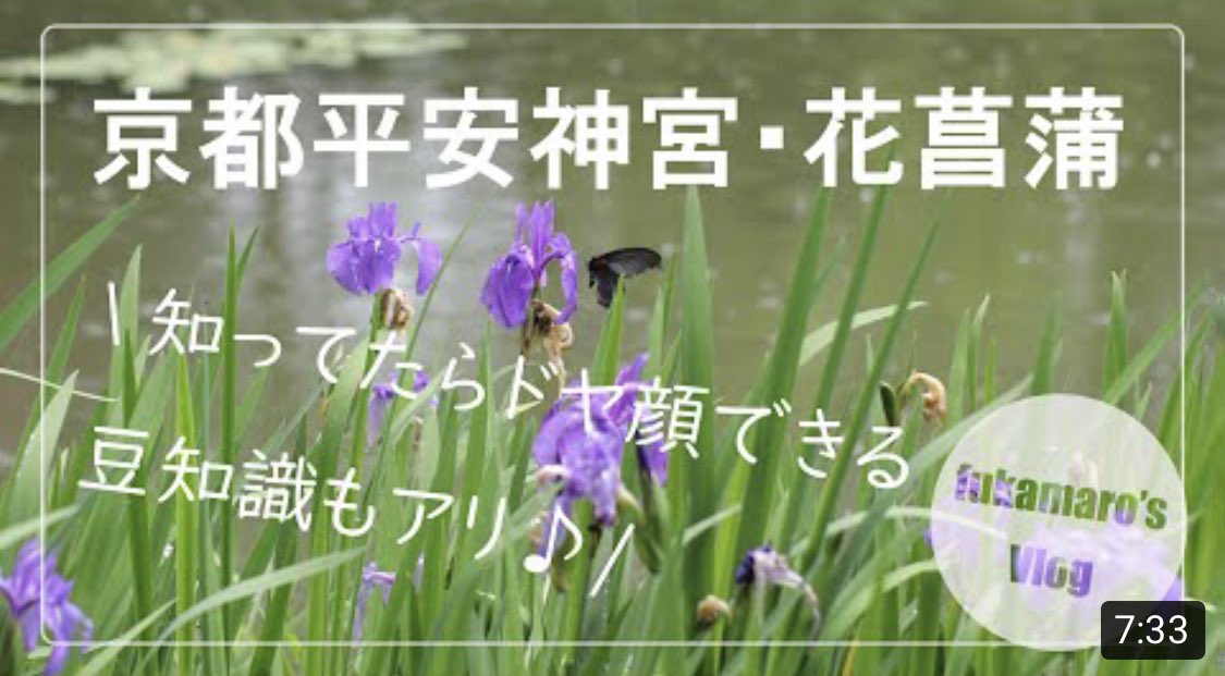 フォトジェニックmg 新しい動画が公開されました 京都平安神宮の花菖蒲 とっても綺麗です ドヤ顔ネタはこちら T Co 3su1fthk90 もしくは 検索欄よりフォトジェニックエムジーで検索 京都 京都観光 Kyoto 平安神宮