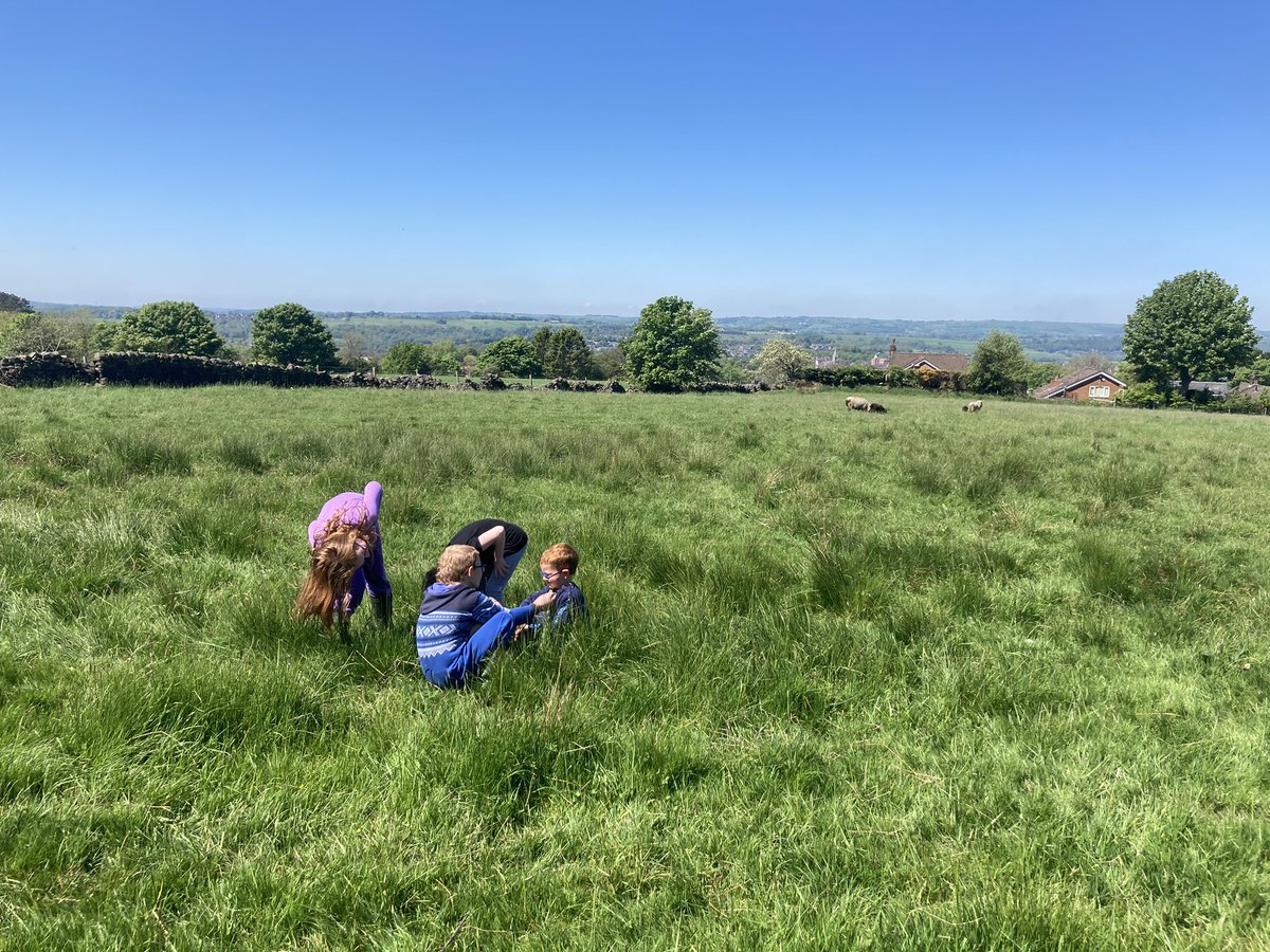 bernardsfarmuk's tweet photo. Sheepy Sunday afternoons. That’s the last of the Cade lambs weaned & up to our rented land for the summer...
🐑🐑 🌞🧍♀️🐑 🐑👬🐑👬🐑🌞
#farmingfamily #sheepfarming #thegingershepherd #newentrantfarmers #flock #sheepysunday #farmkids #teamwork #firstgenerationfarmer #lambs https://t.co/kKyTsBGGvz