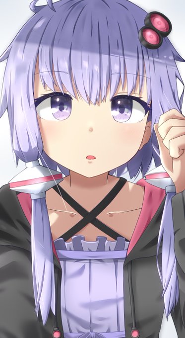 存在の解像度が高めのゆかりさん 