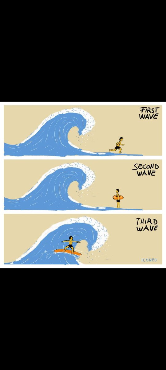 elvis moyo tweet media