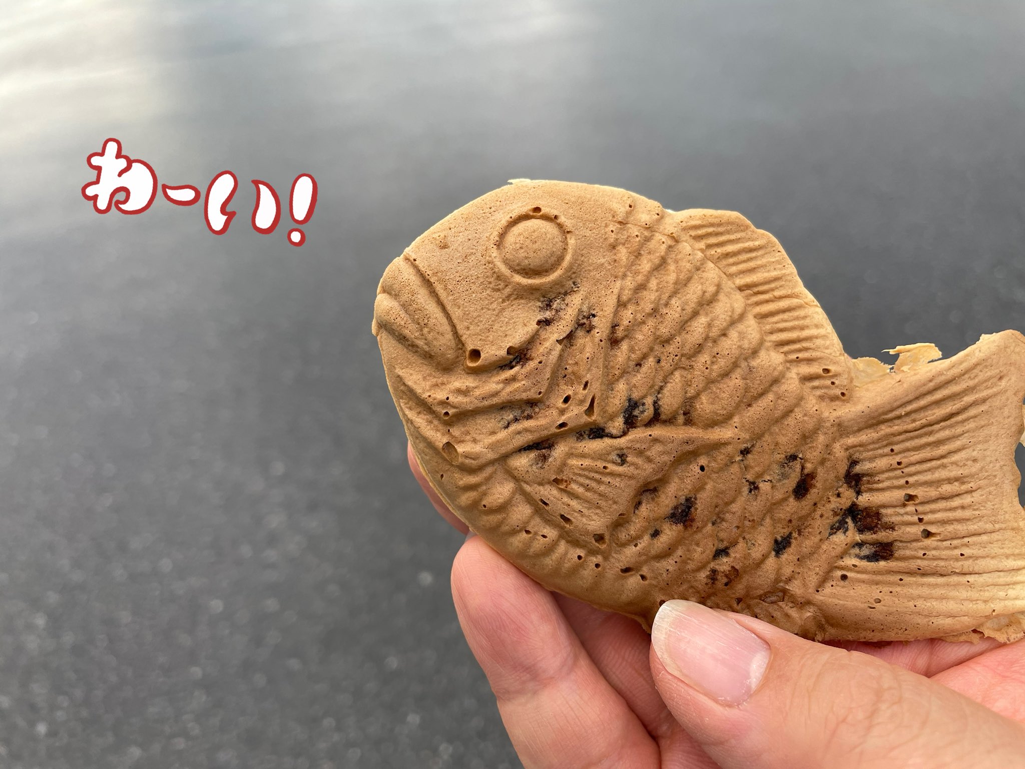 おのしう たい焼き との出会いと別れ 色んなたい焼きと巡り合いましたが 30年の時を超えて ようやく再会しました 思い出を含めて最高に美味しいたい焼きです 二度と会えないと思ってただけに感動しました 40代以上の 宇都宮 出身者たち