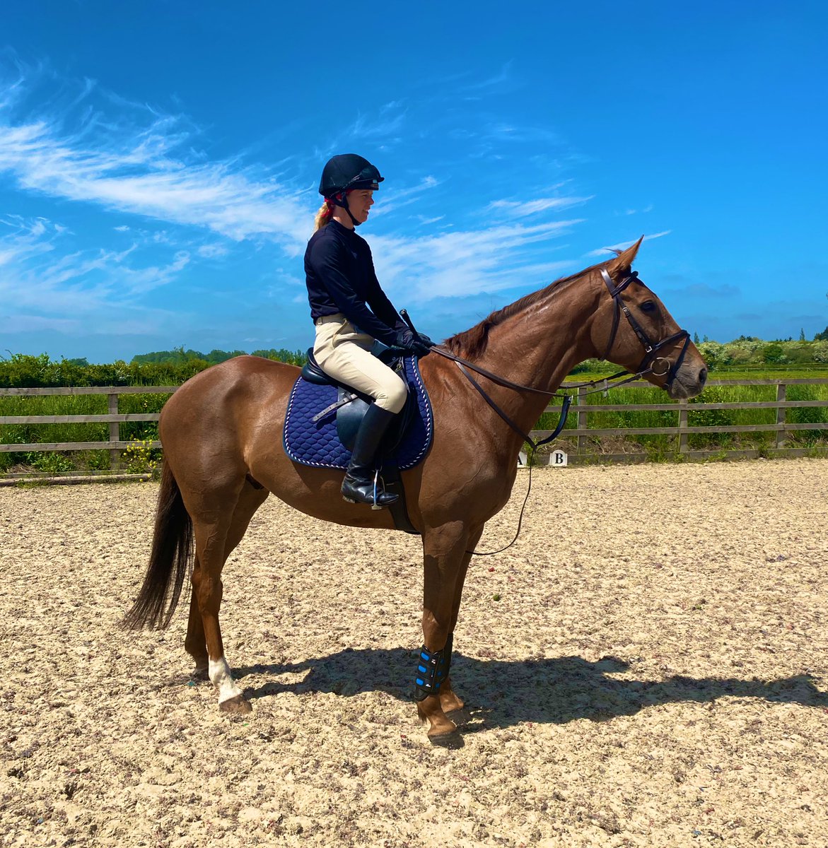 andytllewellyn's tweet photo. First outing for Toviere &amp; @chloeebox 
Formerly trained by @OliverSherwood and owned by Tim Syder 
They went clear today in his first show jumping competition @RoRlatest #retrainingofracehorses #gentlemen https://t.co/3S6xB5uorH