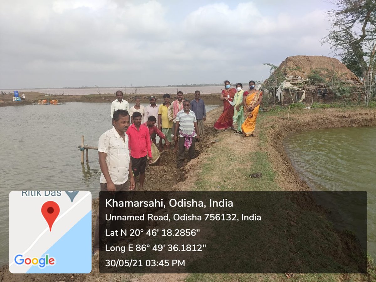 dfo_bhadrak's tweet photo. Fisheries field officials at Charadia GP of Chandabali block of Bhadrak District for #CycloneYaas damage assessment. @DM_Bhadrak @OdishaFisheries @farddept https://t.co/AA5WJSX0Gg