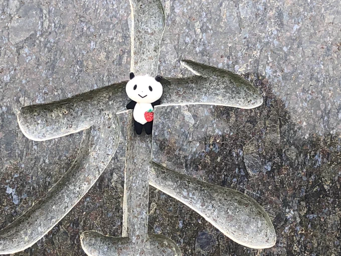 今回も山を愛する会のジェイド・リーチくんと一緒です 