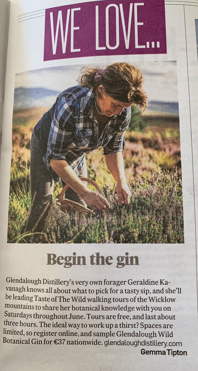 GField17's tweet photo. I did this trip and I cannot recommend it more highly. Geraldine was such a brilliant, informative and easy going guide. The gin was good too 😂🍸 https://t.co/JIeyOiZVCw