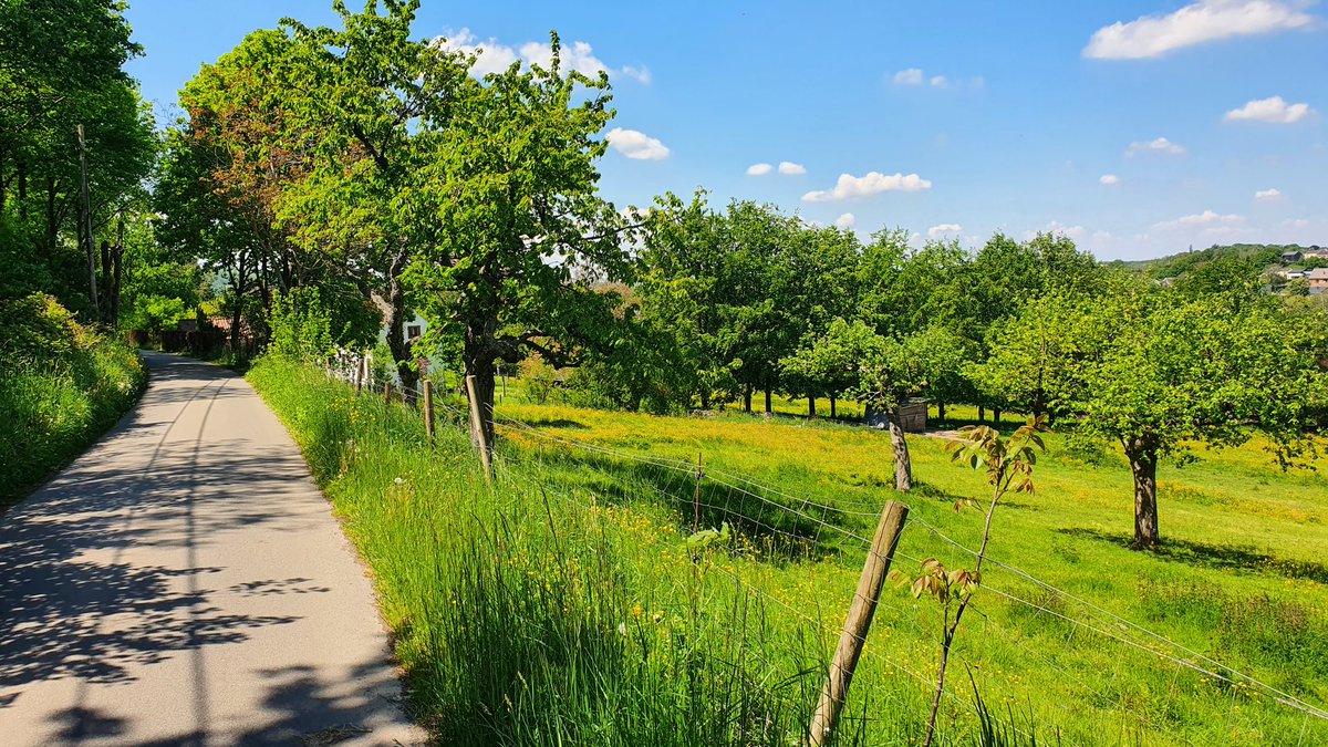 Nathanoj86's tweet photo. Meilleure forme aujourd'hui alors go #pedaler 😎
Petite découverte des coins calme et vert de ma région 😊
#randovelo #nature #naturelover #ride #velo https://t.co/KuPWAhuJrd
