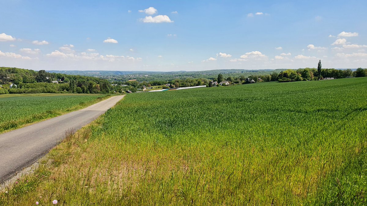 Nathanoj86's tweet photo. Meilleure forme aujourd'hui alors go #pedaler 😎
Petite découverte des coins calme et vert de ma région 😊
#randovelo #nature #naturelover #ride #velo https://t.co/KuPWAhuJrd