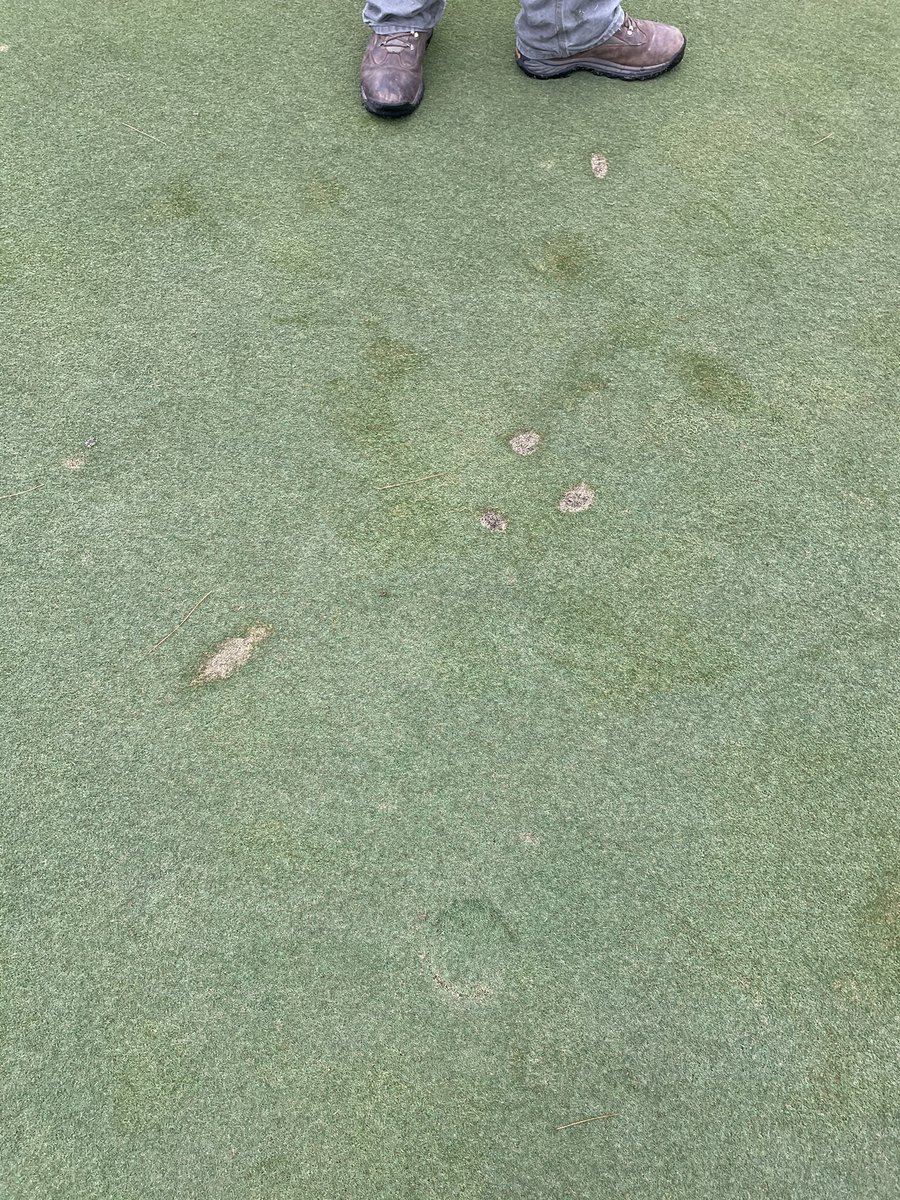 Brier Creek CC Agronomy tweet media