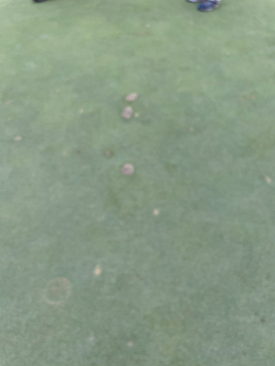 Brier Creek CC Agronomy tweet media