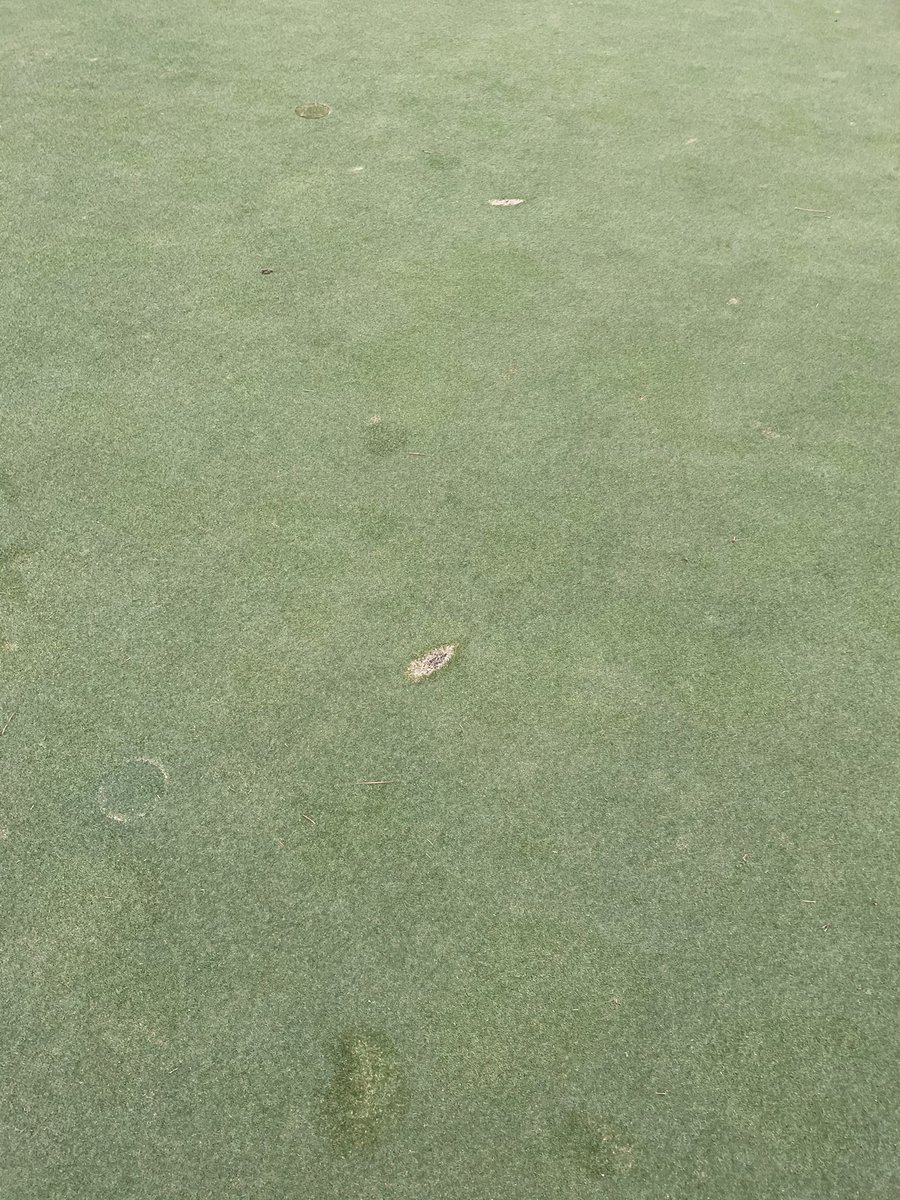 Brier Creek CC Agronomy tweet media