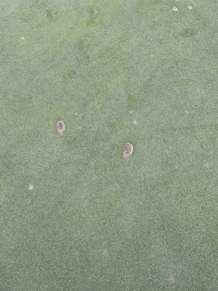 Brier Creek CC Agronomy tweet media