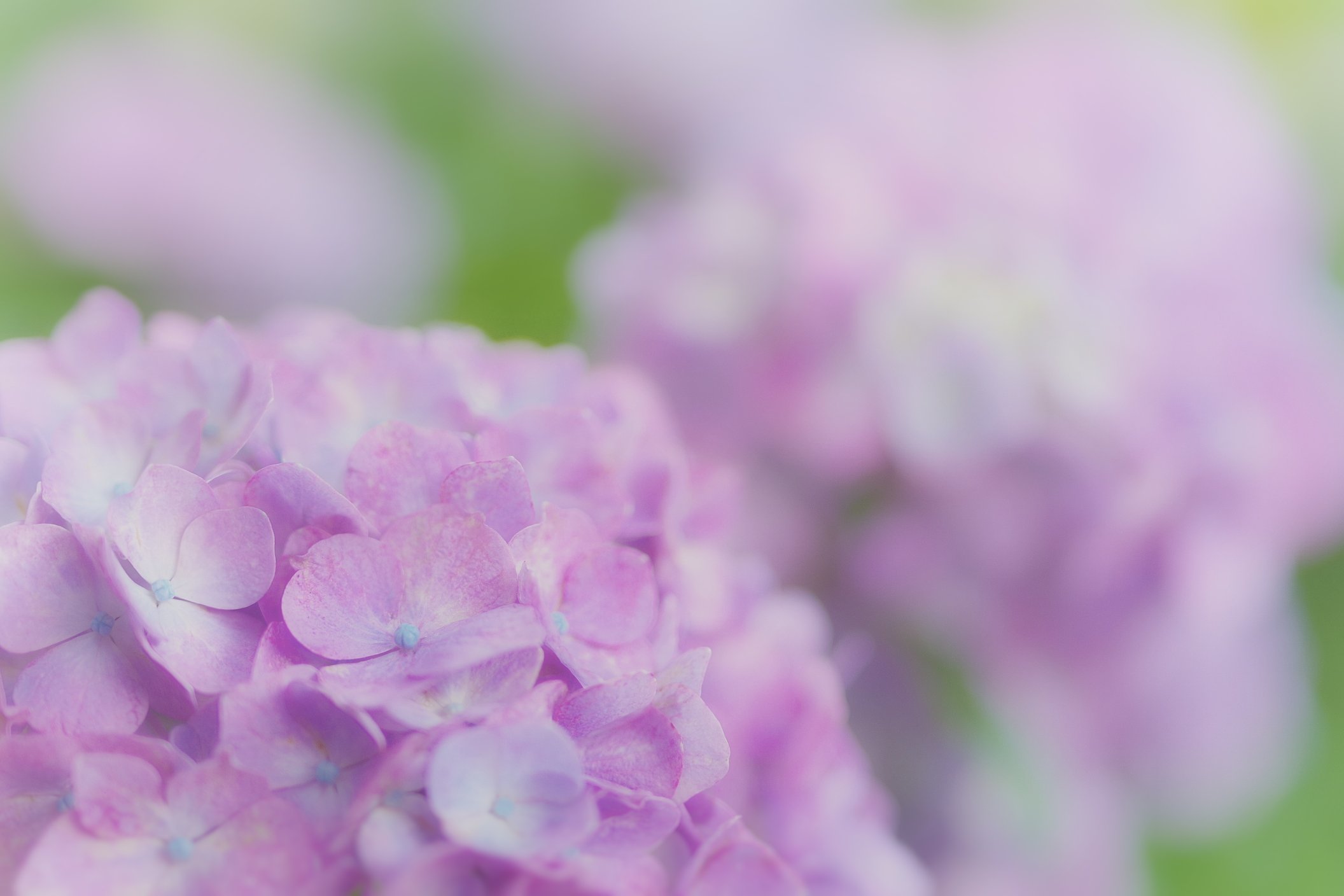 H Tfc6j8rfmnqm