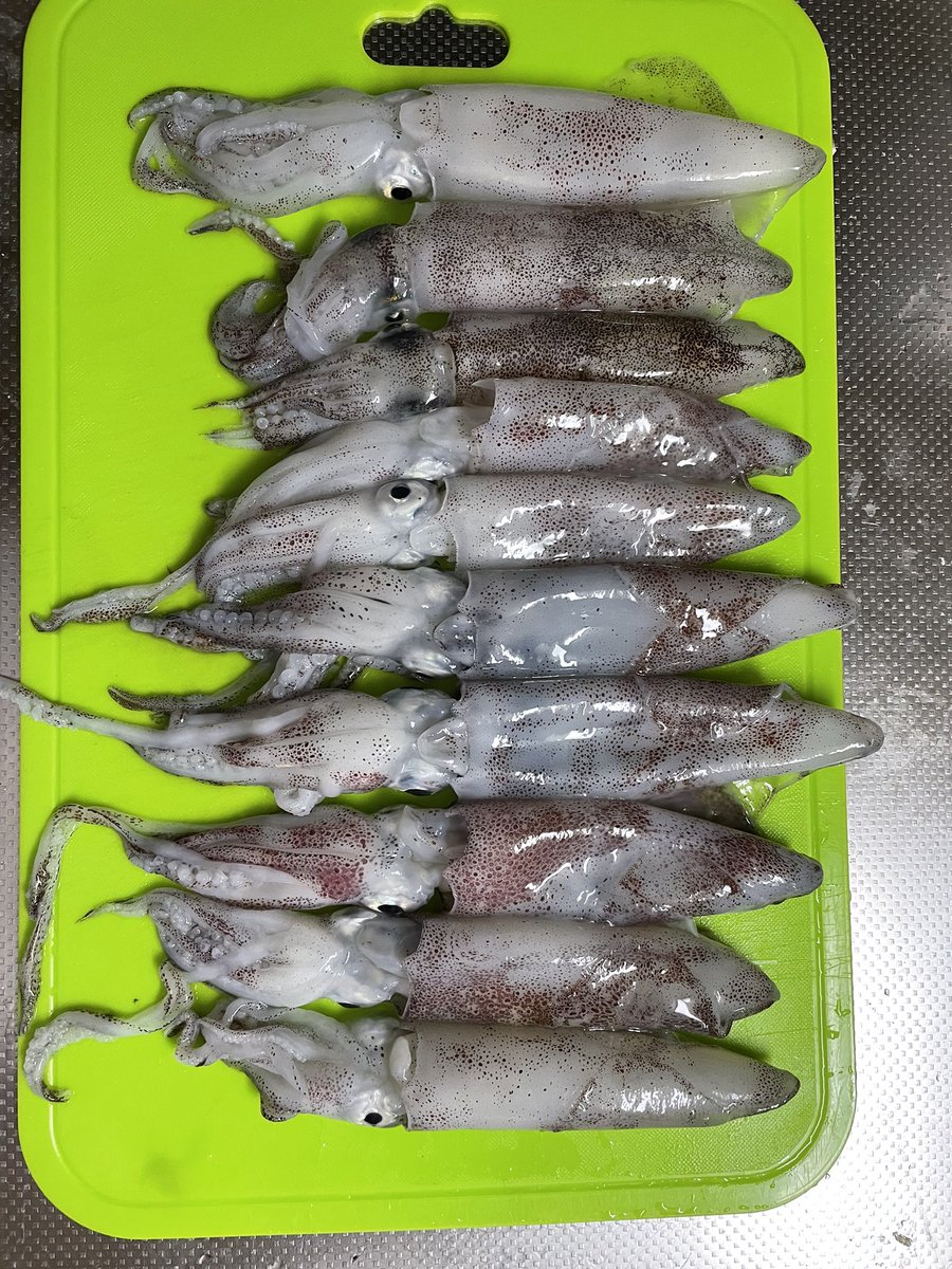 釣りハピ Turihapi Twitter 釣りハピ Turihapi Twitter