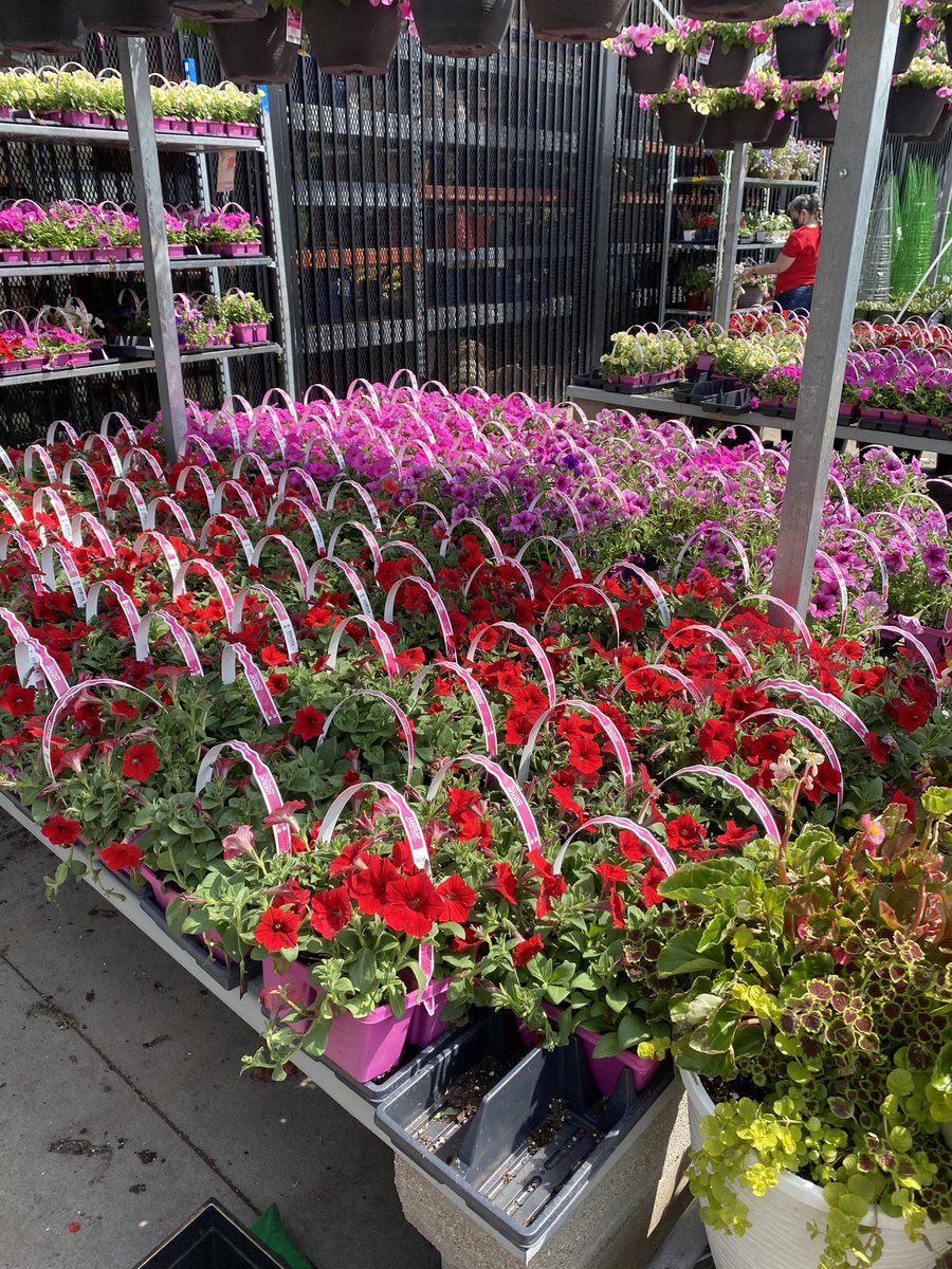 Merry Townsel tweet media