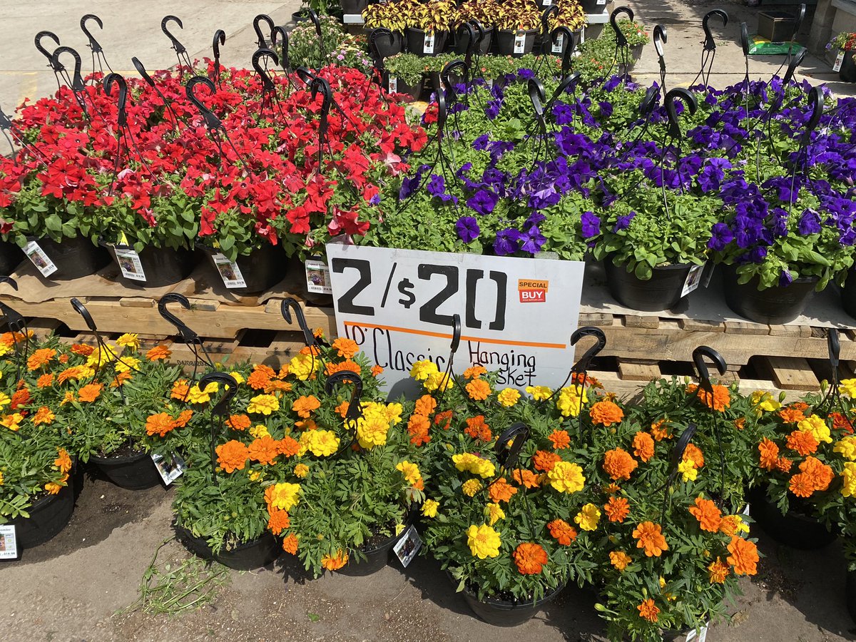 Merry Townsel tweet media