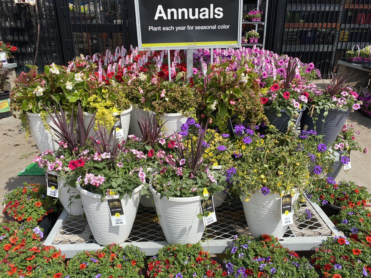 Live goods #MemorialDayWeekend