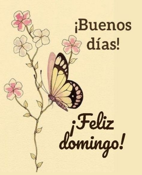 El Apartidista 3 on Twitter: "Reflexiones de domingo!!! Muy buenos días a  todos!!… "