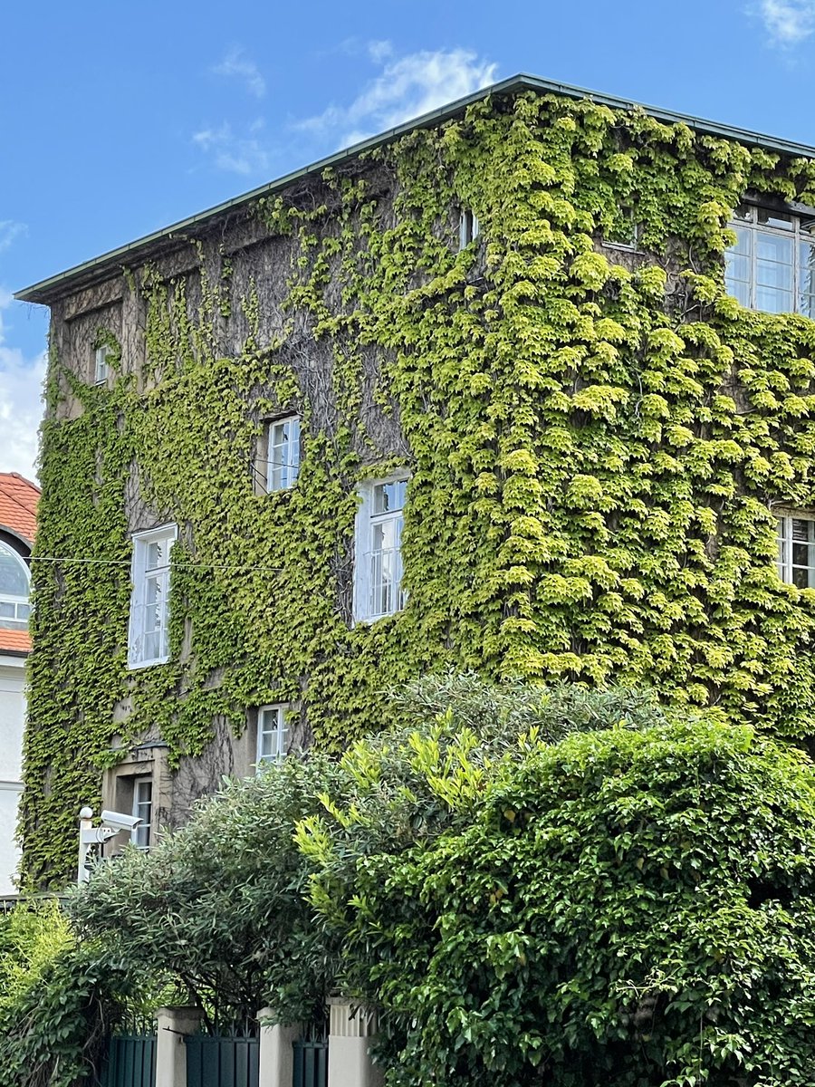 wbogensberger's tweet photo. #GrüneFassaden
Werden zunehmend in größeren Städten - wie hier in #Wien - zum Absorbieren von #Feinstaub und zur #Abkühlung verwendet. Sie nehmen in einem intensiv genutzten Stadtgebiet wenig Platz ein und bieten viele vertikale Meter Grün.
#Greenfacades ❤️
#EUGreenDeal https://t.co/Cu8BWWbpVO