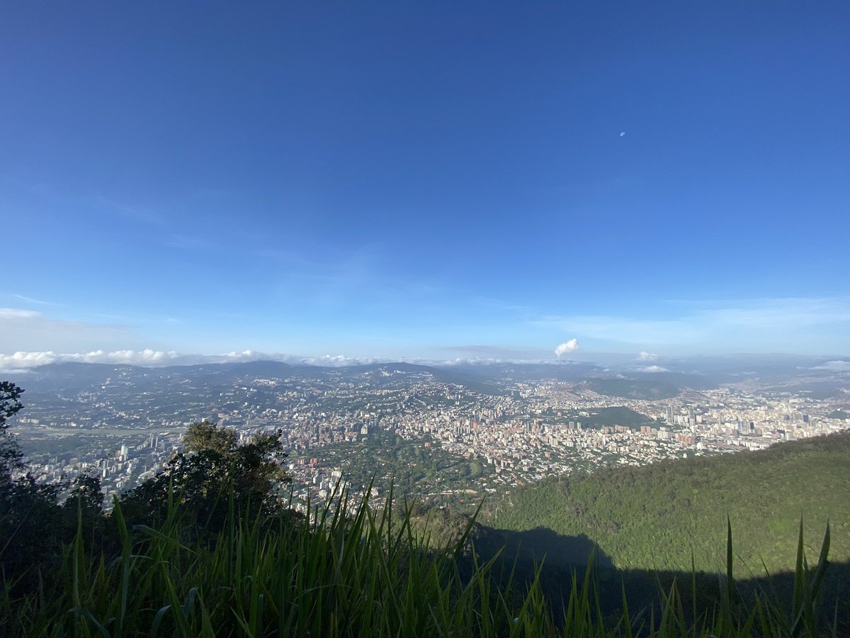 Richard Andari tweet media